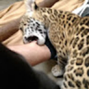 Meet your Posher, Jonathan